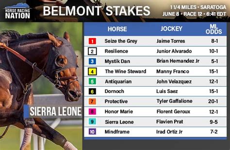 how to bet the belmont stakes|How to Bet on the Belmont Stakes in 2024 (Horse Race Betting .